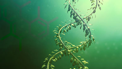 Botanical-DNA-CAL-FSdwnld