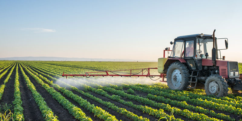 Pesticides Testing in Food Products