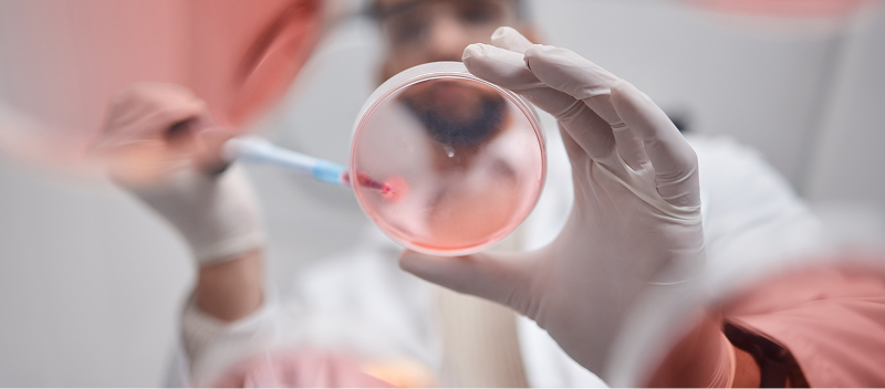 Person in a laboratory setting using a petri dish